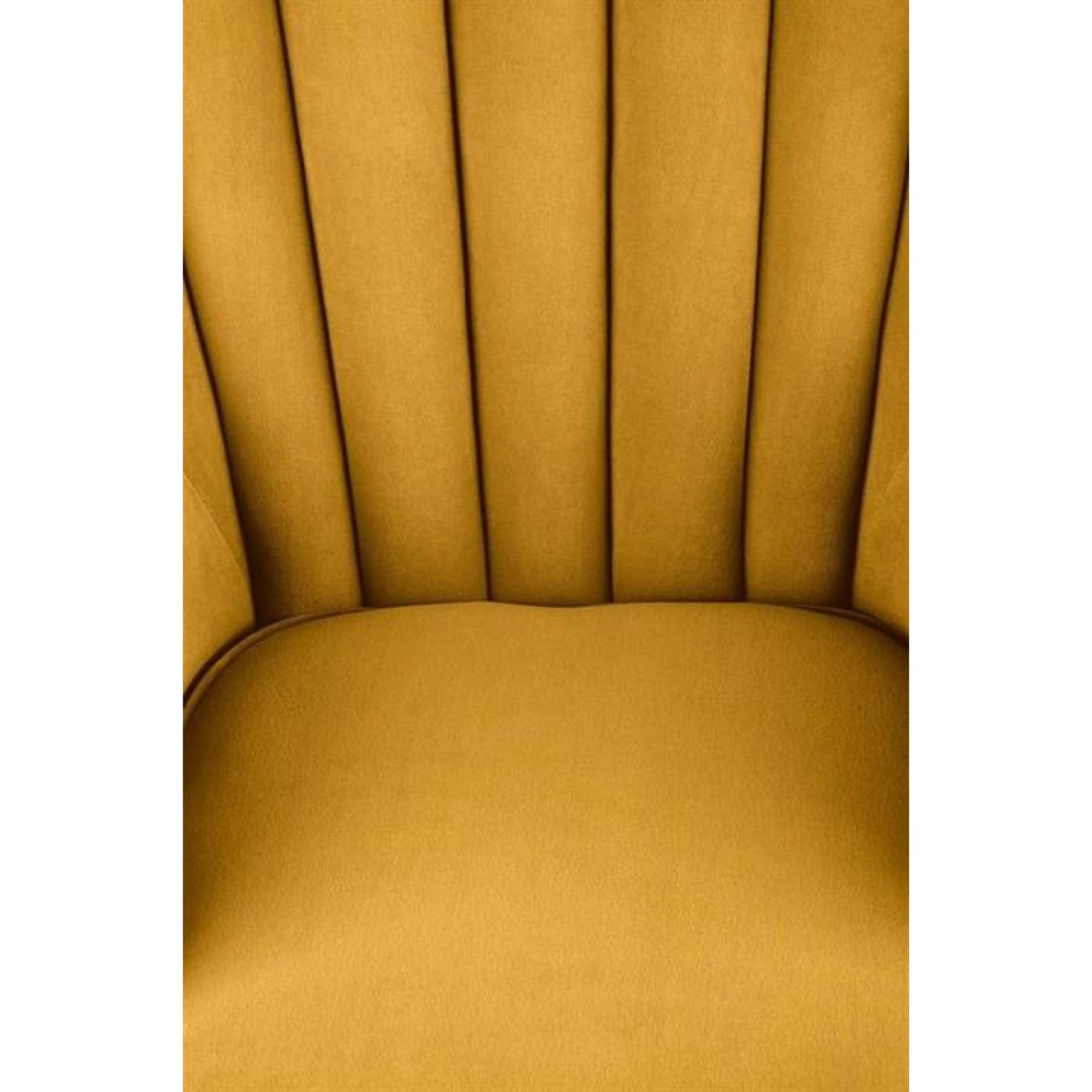 Кресло Titan    HLM_V-CH-TITAN-FOT-MUSZTARDOWY